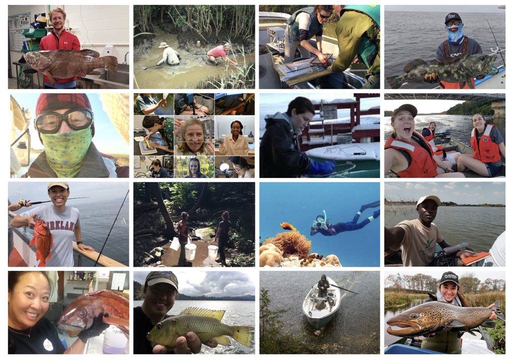 diversityfisheries3